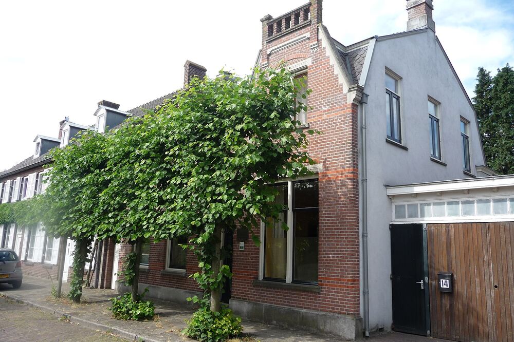 Rij oude bakstenen woonhuizen met leibomen langs de stoep aan de Heuvel in Dongen, in de zon